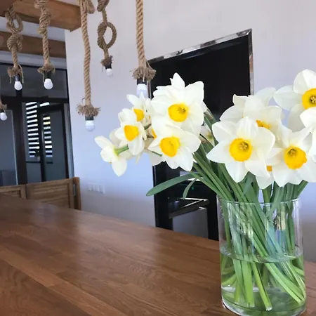 Angelika Πανσιόν 4*