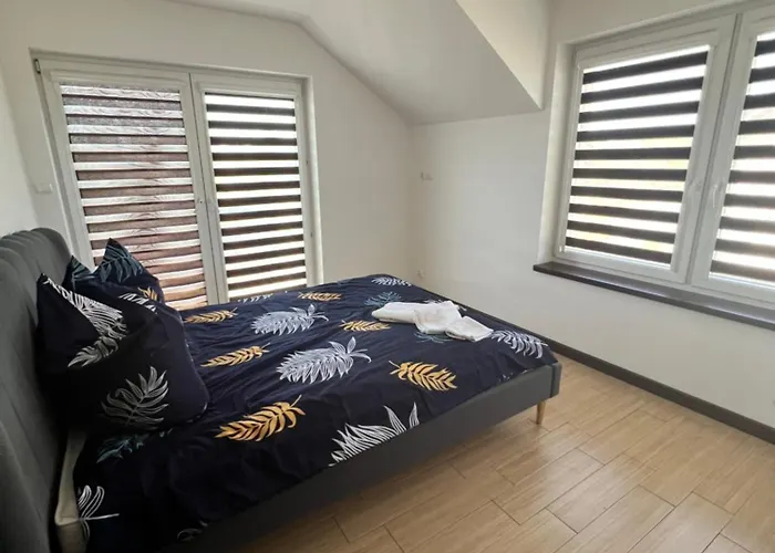 招待所 Angelika 4*