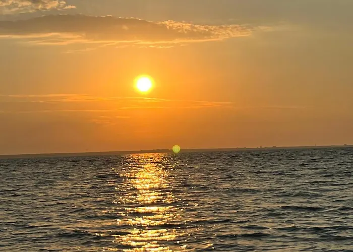 Angelika 4* 斯瓦热沃