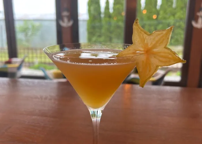 招待所 Angelika 斯瓦热沃